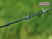 Barbed_Wire_01_SKYHALL_FENCE_SYSTEM