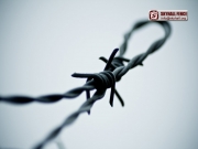 Barbed_Wire_02_SKYHALL_FENCE_SYSTEM