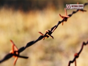 Barbed_Wire_04_SKYHALL_FENCE_SYSTEM