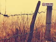 Barbed_Wire_05_SKYHALL_FENCE_SYSTEM