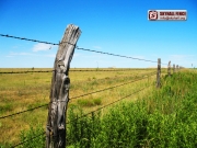 Barbed_Wire_07_SKYHALL_FENCE_SYSTEM