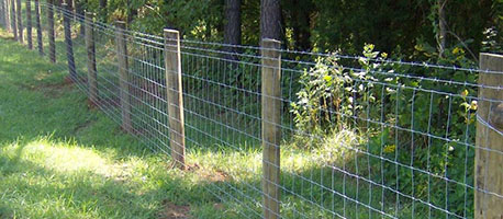 farm fence lines