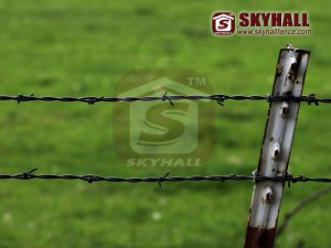 barbed wire fences (Barbed Wire Fences)