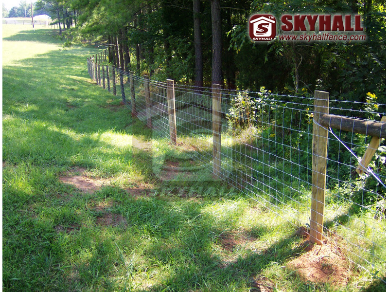 Woven Wire Fences